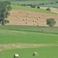paysage avec champ et bottes de foins