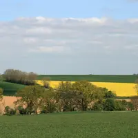Paysage agricole avec des arbres, des terre en cultures, et du foncier.