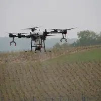 drone au dessus d'un vignoble