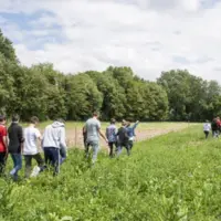 Jeunes marchant dans un pré