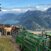 Rencontre entre éleveurs et vétérinaires lors de la vaccination contre la DNC devant un lot de vaches.