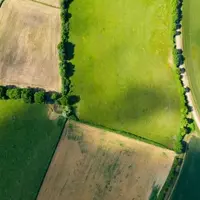 Champs et haies en vue aérienne
