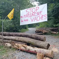 Route bloquée par des troncs d’arbre avec un pancarte « stop aux massacres des vaches » et un drapeau de la Coordination rurale