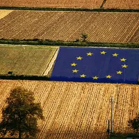 parcelles dans un champ avec drapeau européen au centre