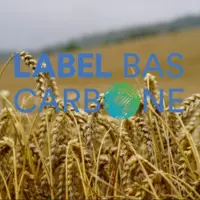 champ de blé avec en incrustation label bas carbone