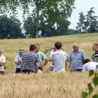 Groupe d’agriculteurs dans un champ de céréales