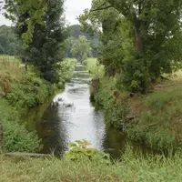cours d'eau au milieu de champs et d'arbres