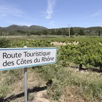 vignes avec au premier plan un panneau touristique