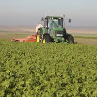tracteur dans un champ de moutarde