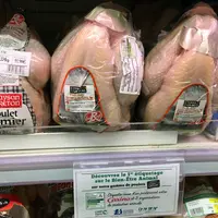 gros plan sur l'étiquetage de plusieurs poulets en grade surface