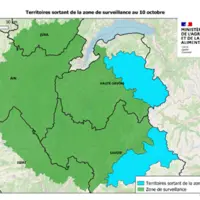 Zone de surveillance de la DNC en Savoie et Haute Savoie allégée dès le 10 octobre.