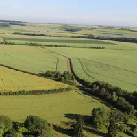 Vue aérienne d'un paysage agricole avec des haies