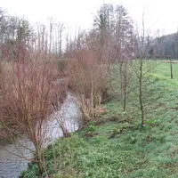 Plantation d'arbre en bordure de cours d'eau à proximité d'un champ.