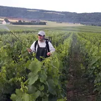 Pulvérisation par un agriculteur avec un dynamiseur d'un produit de biocontrôlesur des vignes en viticulture biologique dans le vignoble de Champagne.