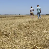 Un agriculteur et sa fille de dos de loin dans un champs moissonné