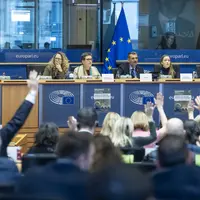 Les eurodéputés de la commission de l’Environnement votant à main levée le 28 janvier à Bruxelles.
