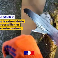 affiche montrant en gros plan des mains sciant une branche