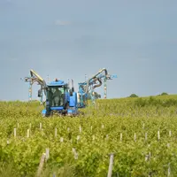 Traitement phytosanitaire par pulvérisation dans les vignes avec un tracteur en Gironde.