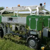 robot dans un champ de vigne