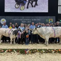 deux vaches lauréates au concours général agricole 2026