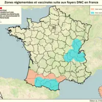 Cartes des zones réglementées et vaccinales liées à la dermatose nodulaire contagieuse bovine (DNC) en France au 27 février 2026.