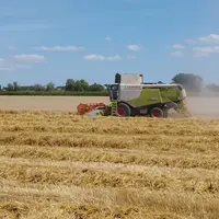 tracteur moissonnant dans un champ de blé