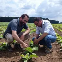 Samuel de Smet et son frère, dans un champ de tabac