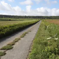 Chemin agricole entre parcelles de terre dans la Marne