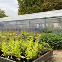 serres et carrés potagers