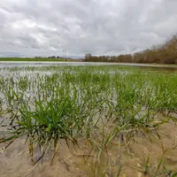 Champ de culture inondé dans le département de la Marne après une forte crue du fleuve du même nom.