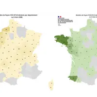 Cartes des foyers de FCO3 et FCO8 depuis le 1er juin 2025