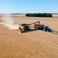 Grosse moissonneuse batteuse dans un champs de céréales