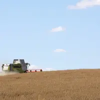 tracteur moissaonnat dans un champ de blé