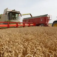 tracteur moissonnant dans un champ de blé