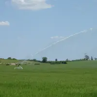 Irrigation dans un champ de céréales