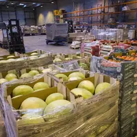 Fruits et légumes importés, dans des cartons au sein d'un entrepôt.