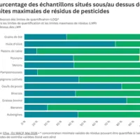 Graphique des pourcentages des échantillons situés sous ou au desus des limites maximales de résidus de pesticides.