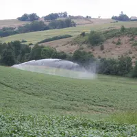 champ irrigué