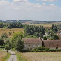 Paysage agricole