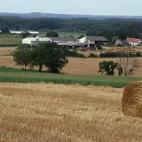 Paysage agricole