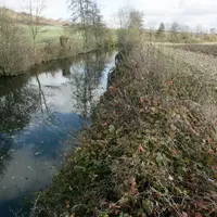 Cours d' eau, rivière et bande herbeuse près d' un champ de culture agricole en automne.
