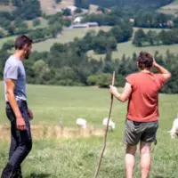 un  homme et une femme dans un champ avec des moutons