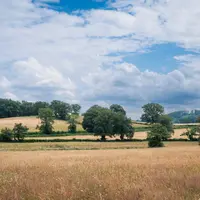 Prairie permanente dans la Creuse, début juillet 2024