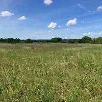 Parcelle en jachère.