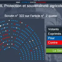 Bilan du scrutin sur l'article 2 quater de la loi d'urgence agricole lors de son examen en séance publique au Sénat le 29 juin.
