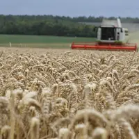 Moissonneuse dans un champ de blé