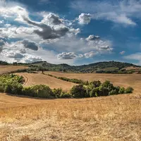 Paysage agricole en période de sécheresse