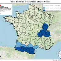 Carte de France des dates d'arrêt de la vaccination des bovins contre la dermatose nodulaire contagieuse bovine (DNC) pour les zones vaccinales I et I