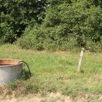 Bac de distribution d'eau dans une pâture pour l'abreuvement des bovins.
