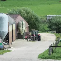 Cour de ferme avec bâtiment visible, un bovin dans une prairie et un tracteur.